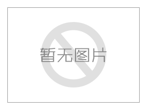 ZJW壓濾機(jī)入料泵SYA壓濾機(jī)給料泵臥式壓濾機(jī)泵入料泵